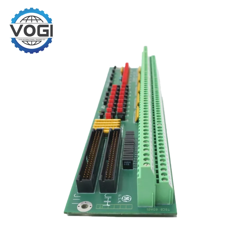 GE DS200TBCBG1AAA  Analog Input Terminal Board